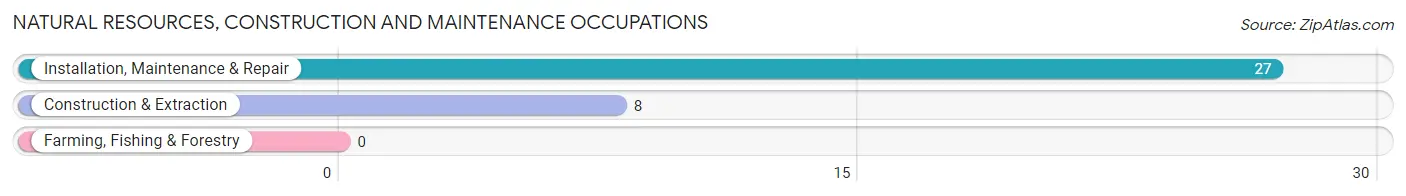 Natural Resources, Construction and Maintenance Occupations in Chocowinity