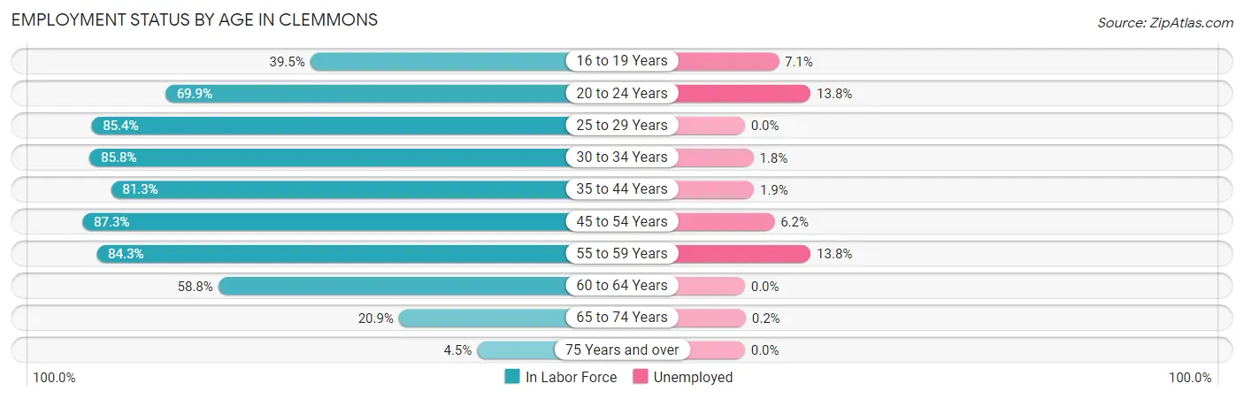 Employment Status by Age in Clemmons