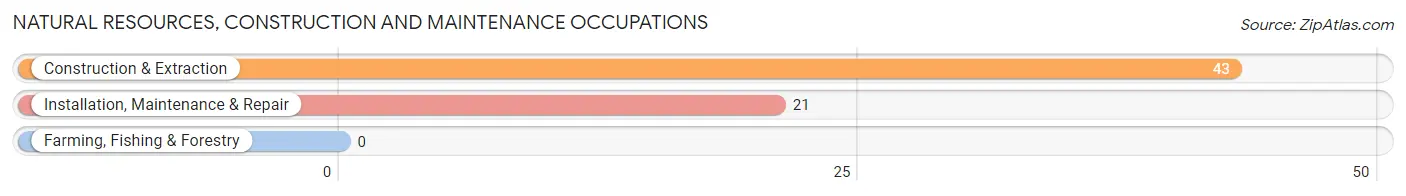 Natural Resources, Construction and Maintenance Occupations in Clyde