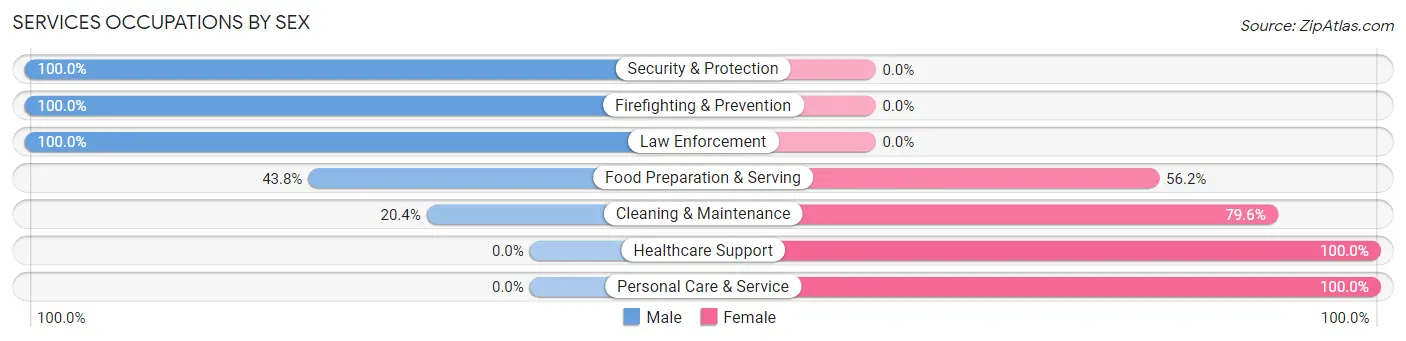 Services Occupations by Sex in Coats