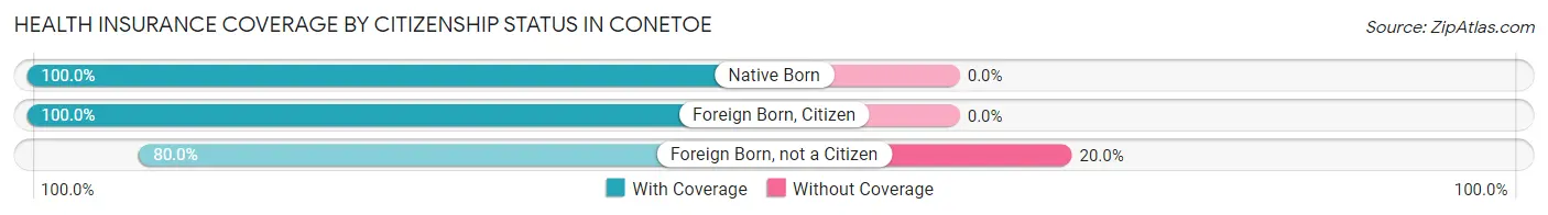 Health Insurance Coverage by Citizenship Status in Conetoe