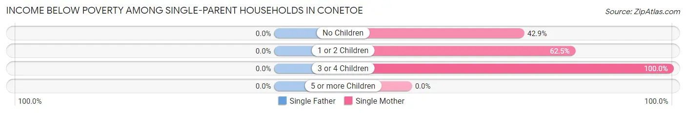 Income Below Poverty Among Single-Parent Households in Conetoe