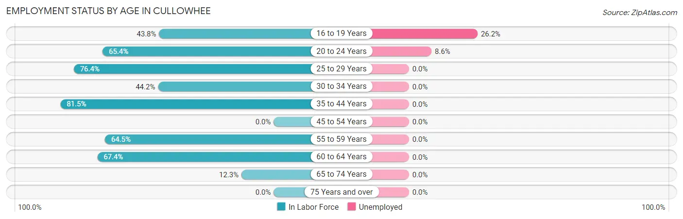 Employment Status by Age in Cullowhee