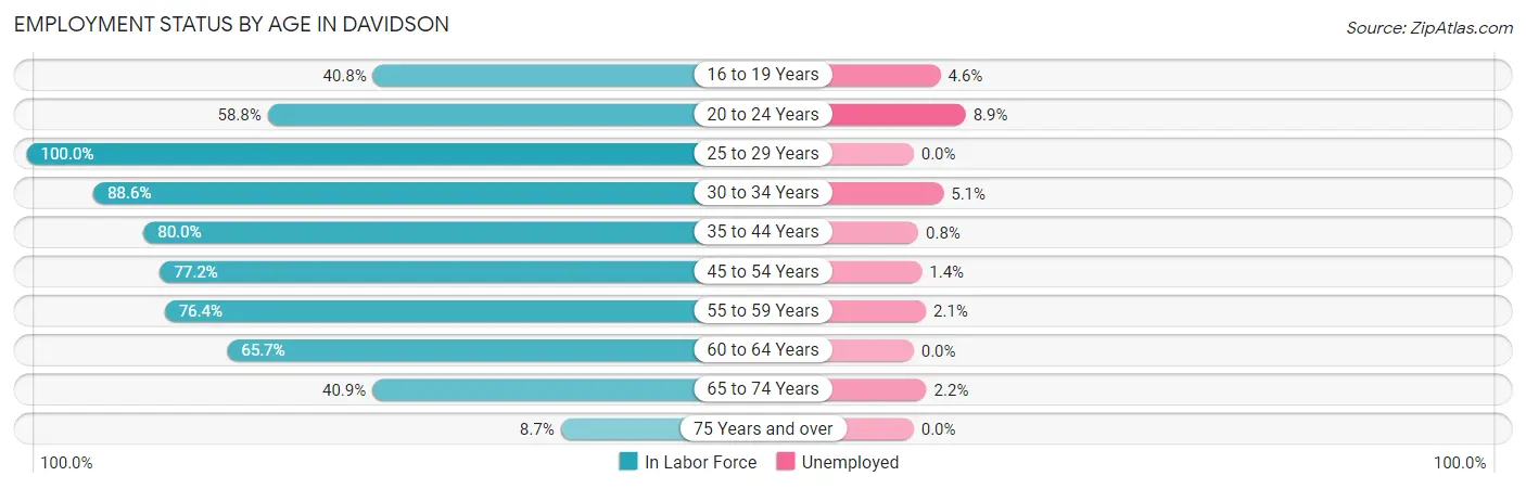 Employment Status by Age in Davidson