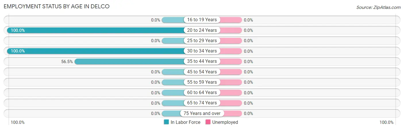 Employment Status by Age in Delco