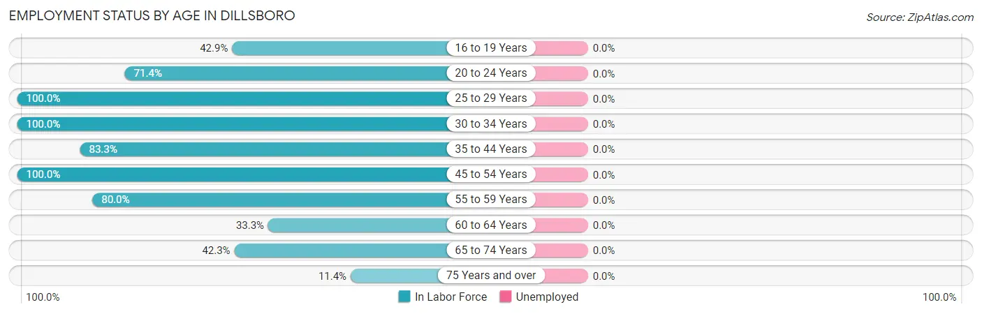 Employment Status by Age in Dillsboro