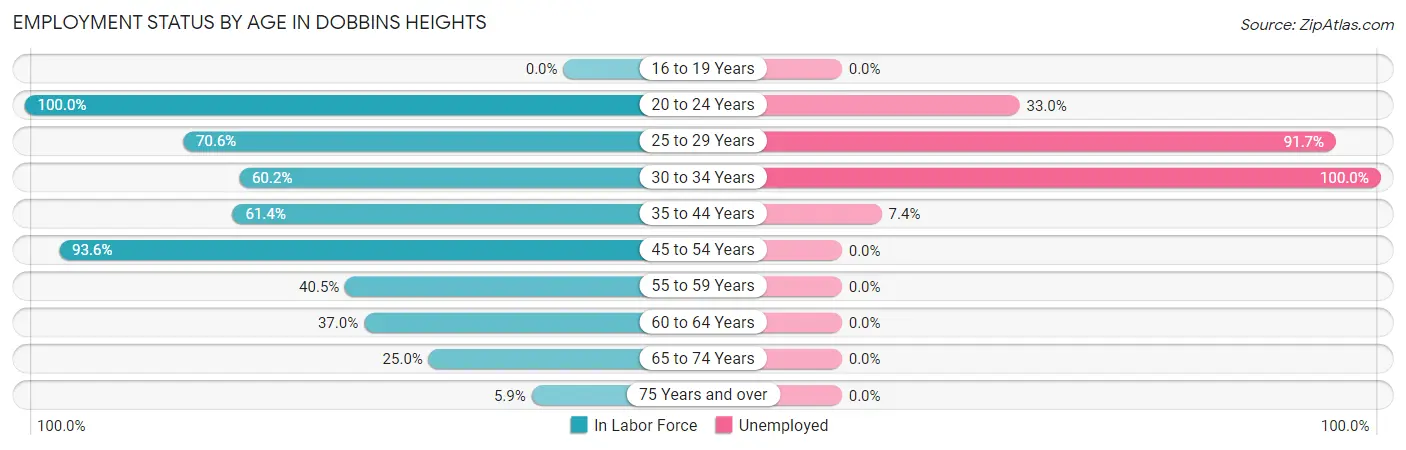 Employment Status by Age in Dobbins Heights