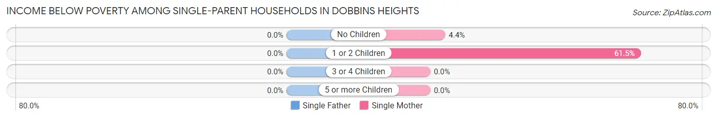 Income Below Poverty Among Single-Parent Households in Dobbins Heights
