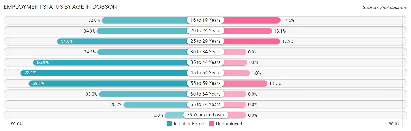 Employment Status by Age in Dobson