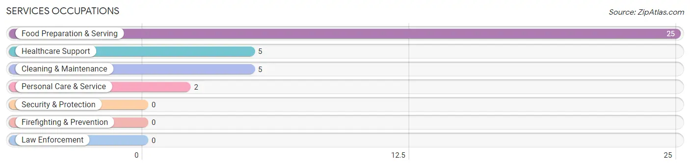 Services Occupations in Dover