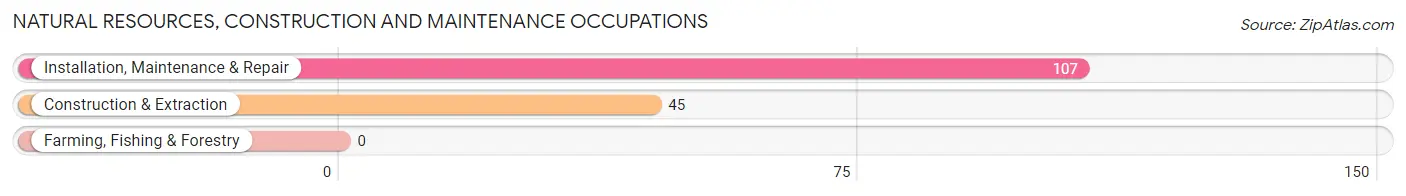 Natural Resources, Construction and Maintenance Occupations in Drexel