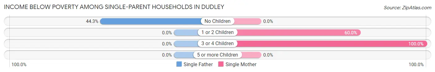 Income Below Poverty Among Single-Parent Households in Dudley