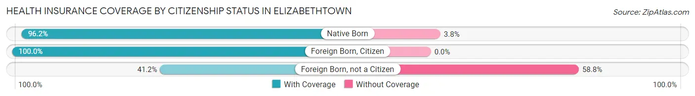 Health Insurance Coverage by Citizenship Status in Elizabethtown