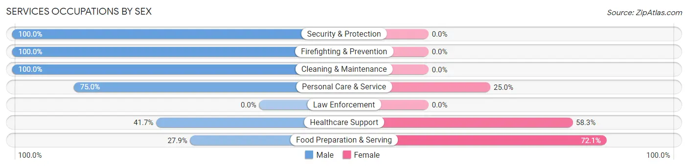 Services Occupations by Sex in Elkin