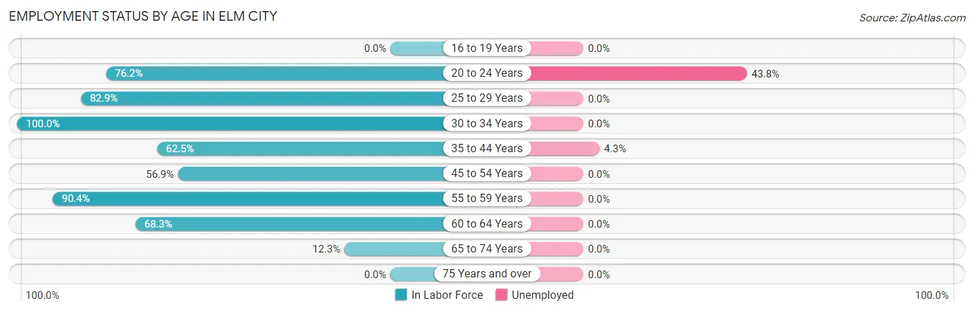 Employment Status by Age in Elm City