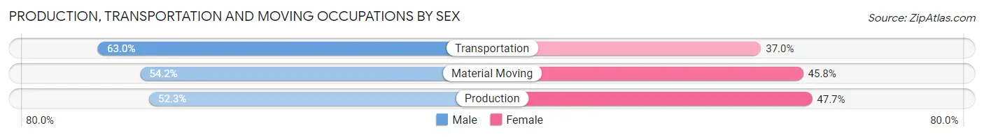 Production, Transportation and Moving Occupations by Sex in Elroy