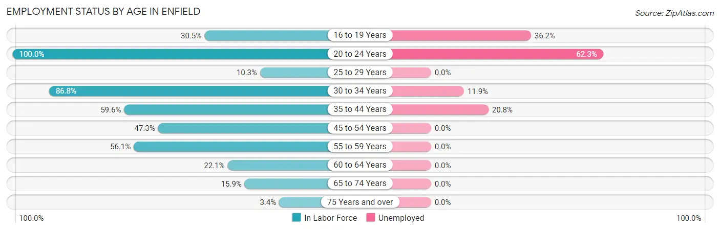 Employment Status by Age in Enfield