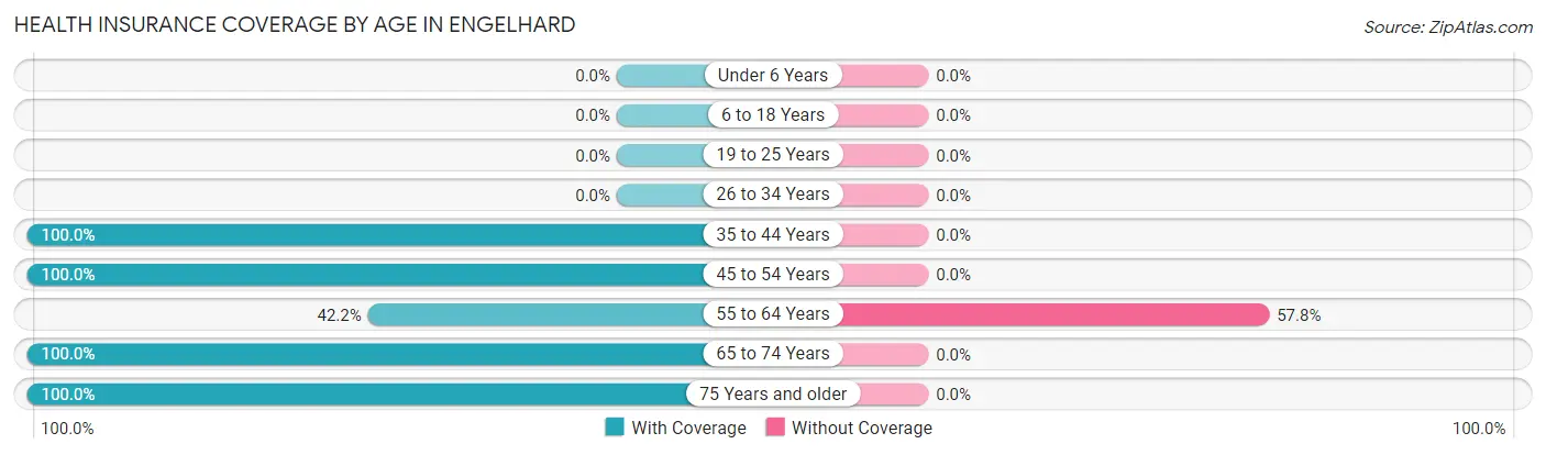 Health Insurance Coverage by Age in Engelhard