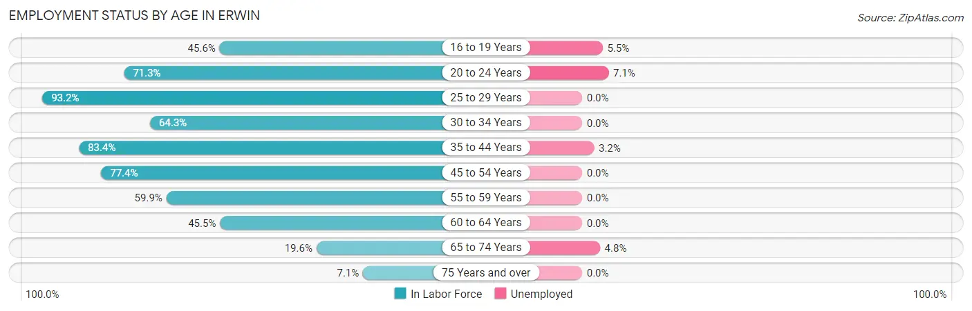 Employment Status by Age in Erwin