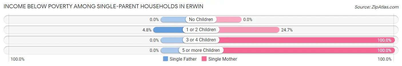 Income Below Poverty Among Single-Parent Households in Erwin