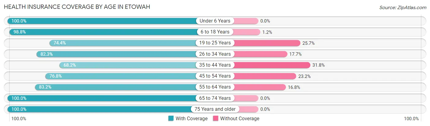 Health Insurance Coverage by Age in Etowah