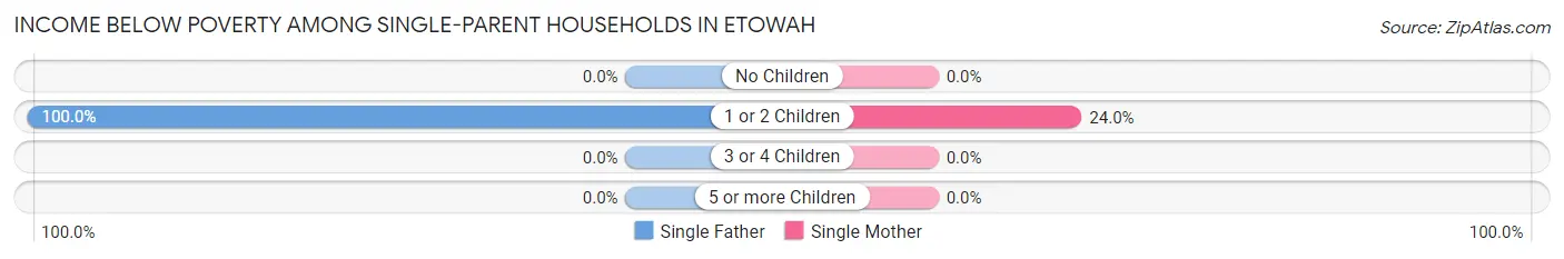 Income Below Poverty Among Single-Parent Households in Etowah