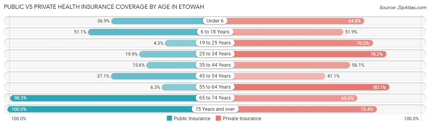 Public vs Private Health Insurance Coverage by Age in Etowah