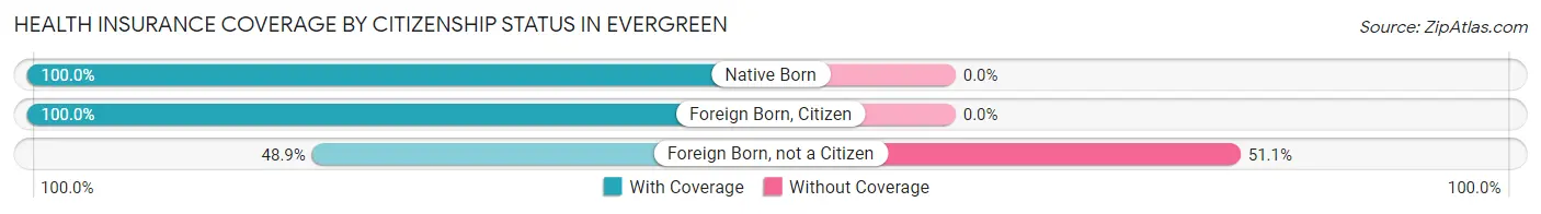 Health Insurance Coverage by Citizenship Status in Evergreen