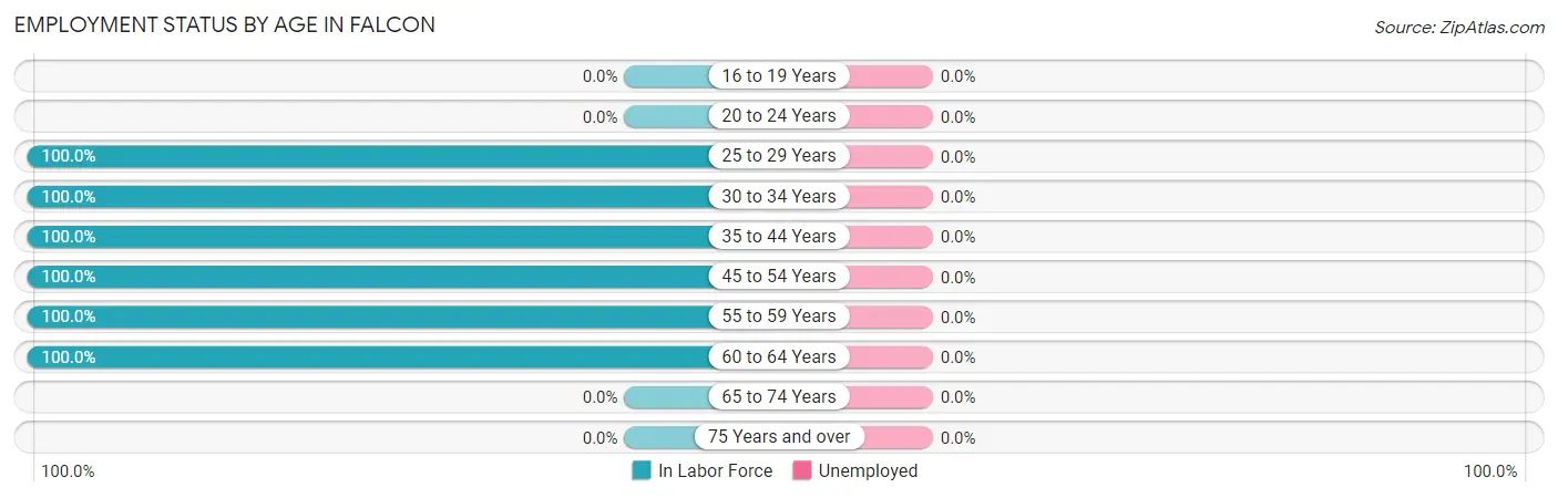 Employment Status by Age in Falcon