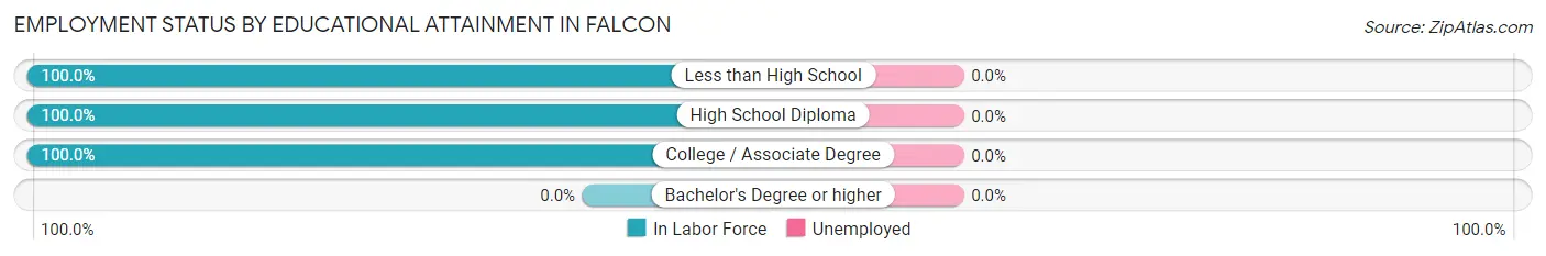 Employment Status by Educational Attainment in Falcon