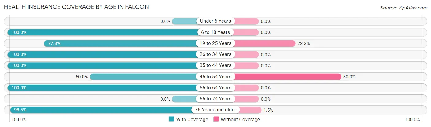 Health Insurance Coverage by Age in Falcon