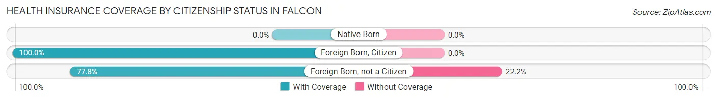 Health Insurance Coverage by Citizenship Status in Falcon
