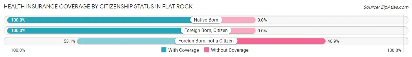 Health Insurance Coverage by Citizenship Status in Flat Rock
