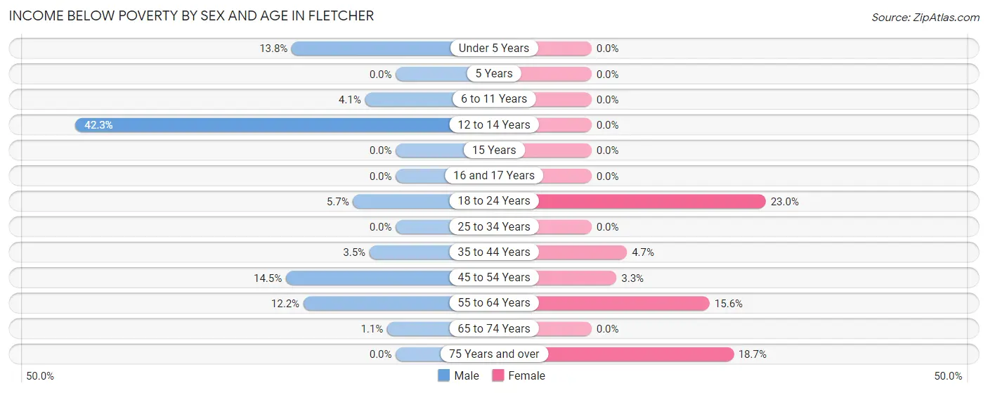 Income Below Poverty by Sex and Age in Fletcher