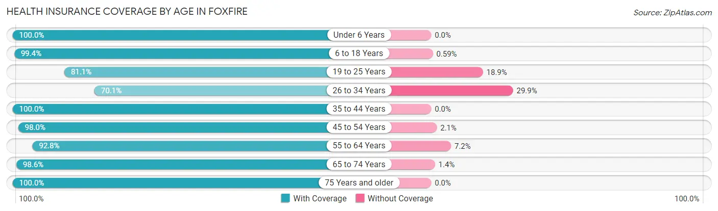 Health Insurance Coverage by Age in Foxfire