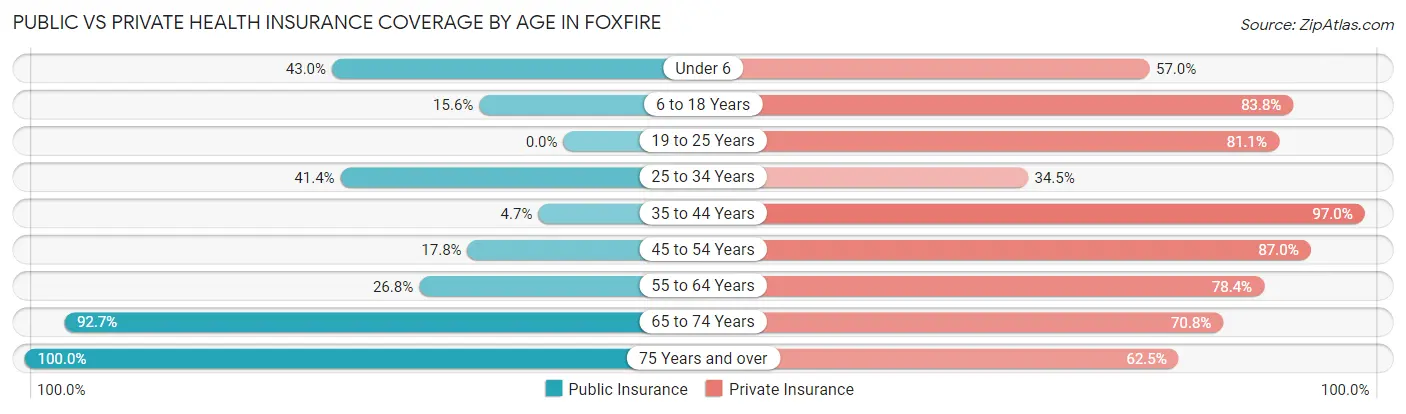 Public vs Private Health Insurance Coverage by Age in Foxfire