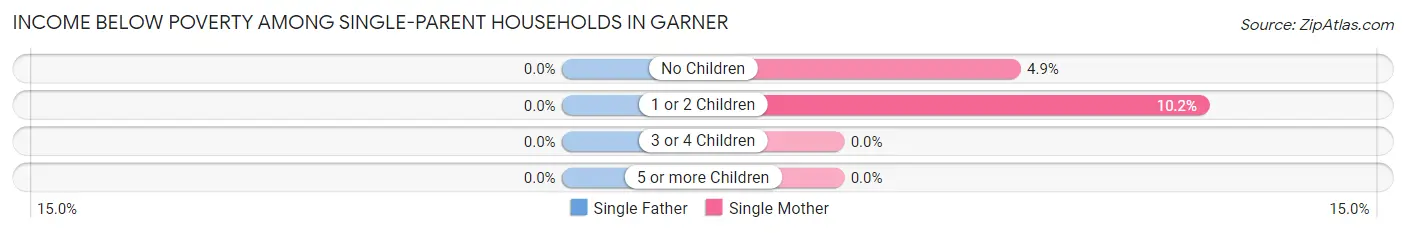 Income Below Poverty Among Single-Parent Households in Garner