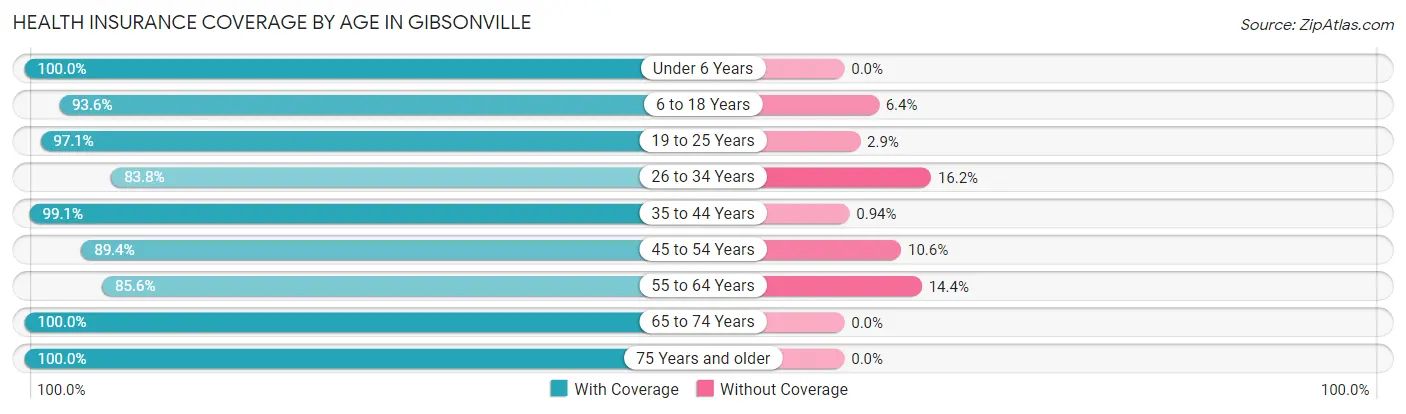 Health Insurance Coverage by Age in Gibsonville