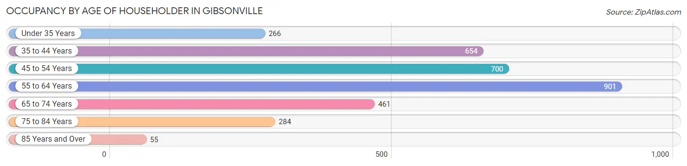 Occupancy by Age of Householder in Gibsonville