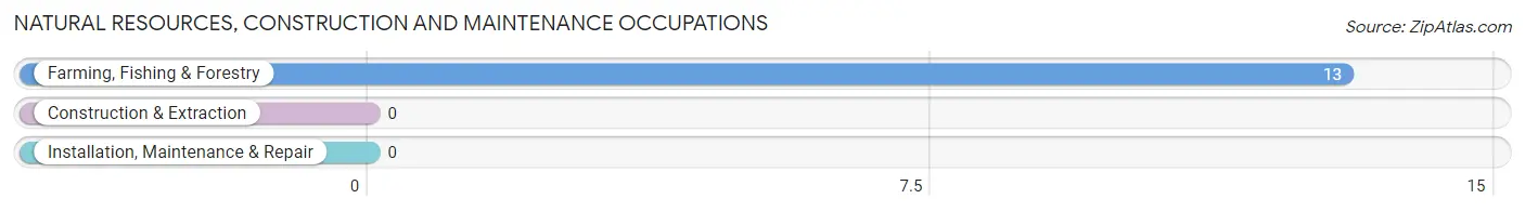 Natural Resources, Construction and Maintenance Occupations in Glenwood