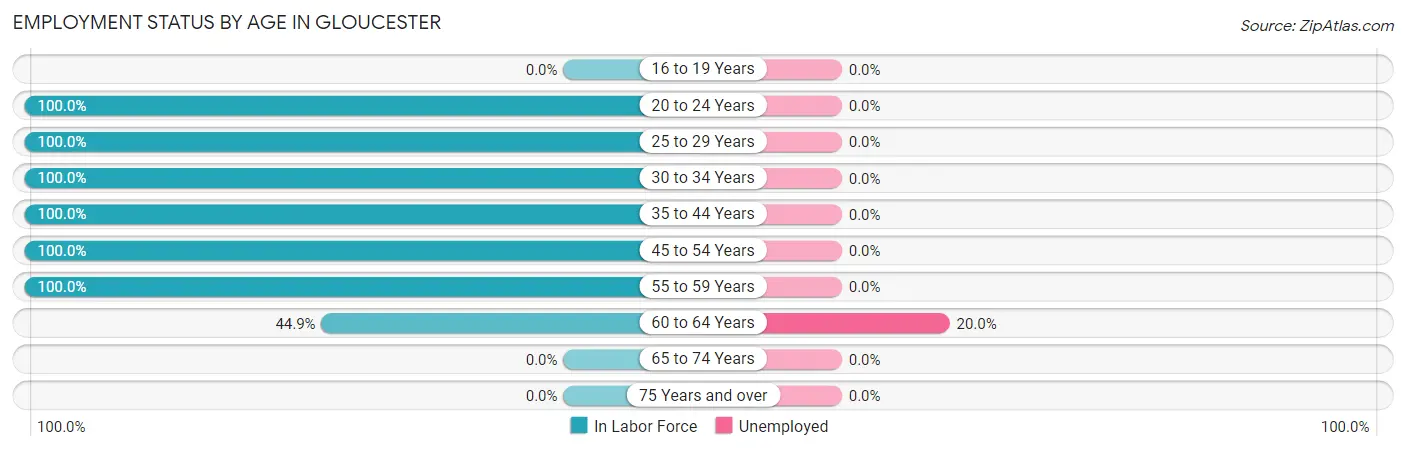 Employment Status by Age in Gloucester
