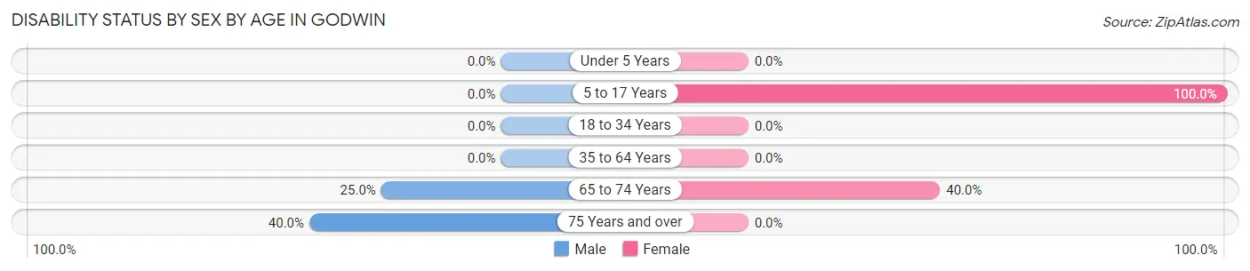 Disability Status by Sex by Age in Godwin