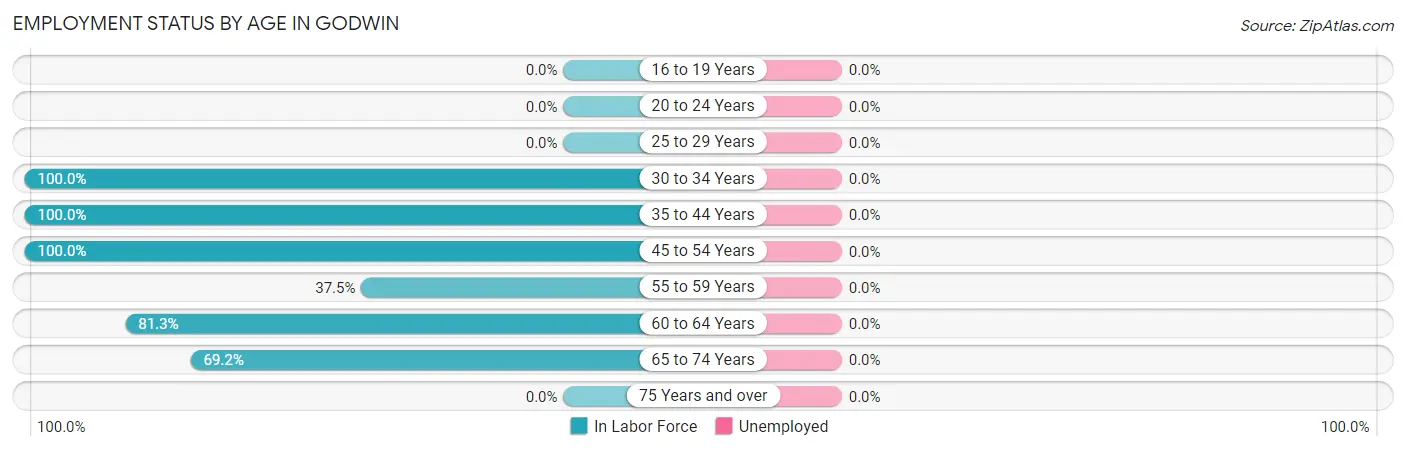 Employment Status by Age in Godwin