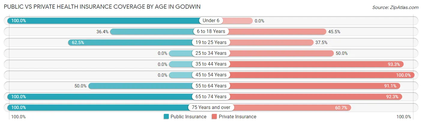 Public vs Private Health Insurance Coverage by Age in Godwin