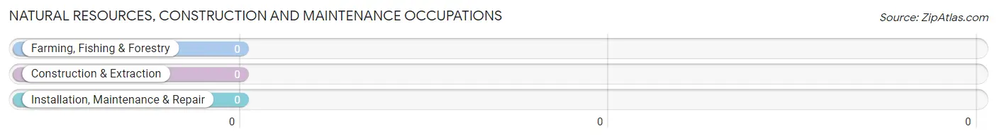 Natural Resources, Construction and Maintenance Occupations in Graingers