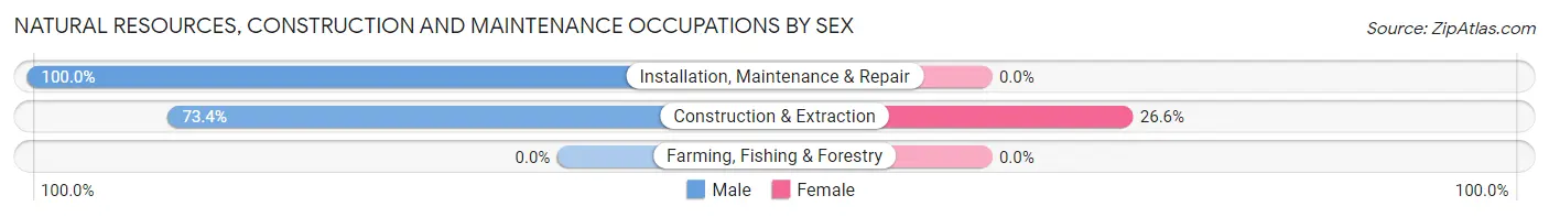 Natural Resources, Construction and Maintenance Occupations by Sex in Grandy