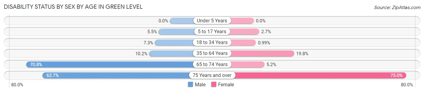 Disability Status by Sex by Age in Green Level