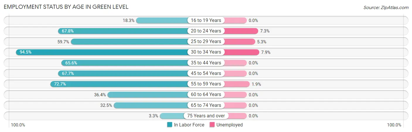 Employment Status by Age in Green Level