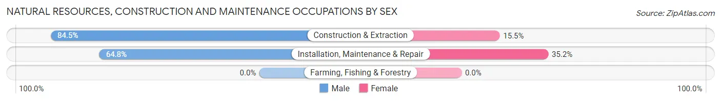 Natural Resources, Construction and Maintenance Occupations by Sex in Green Level