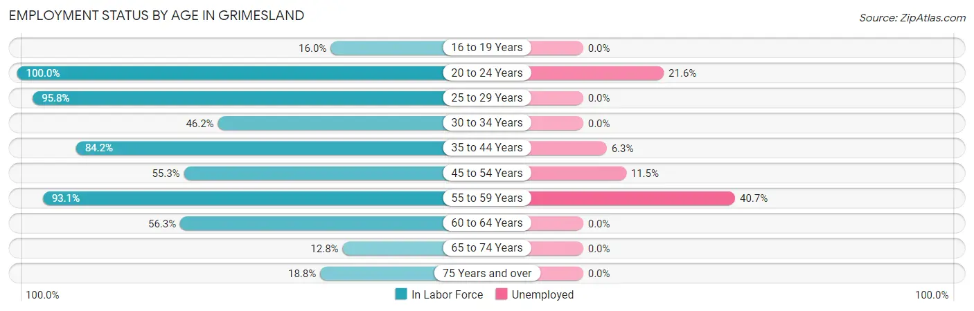 Employment Status by Age in Grimesland